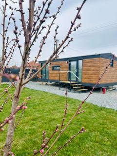 Tiny House Doi Frați - 5