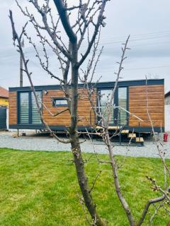 Tiny House Doi Frați - 6