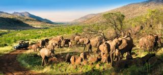 Kwa Maritane Cabana sleeps 4 - 7