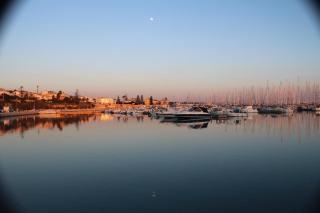 Perla marina - 1