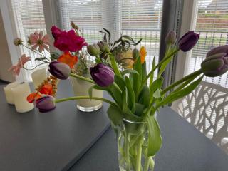 Lovely house on the water near Amsterdam - 's-Graveland - 5