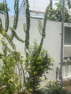 Colombo Residency -Pent House - 2