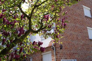 Emanapartmanok Sárvár - 2