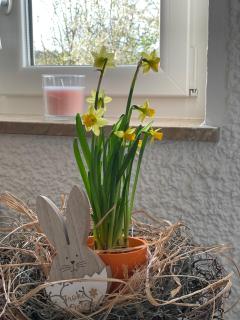 Ferienwohnungen Hollerberg Wohnung 2 - 7