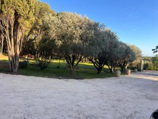 Mas La Pinède - Domaine Le Caylus - 1