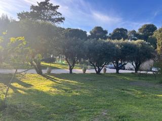 Mas La Pinède - Domaine Le Caylus - 3