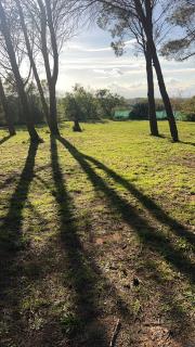 Mas La Pinède - Domaine Le Caylus - 4