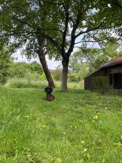 Ferienwohnungen Hollerberg Wohnung 2 - 5