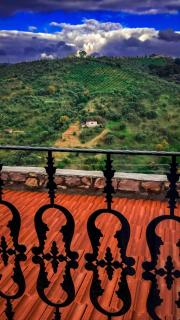 Ayda Winery & Vineyards - 5