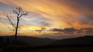 Ayda Winery & Vineyards - 1