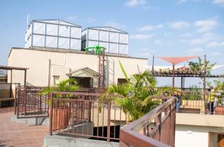 Jaynewilliams lavish homes - 5