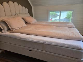 Nothern lights and fishing - 4