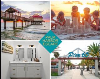 Palm Harbor Entire Duplex Sleeps 16 Near Beaches - 6