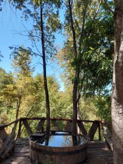 Cabaña en bosque - 4