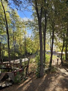 Cabaña en bosque - 5