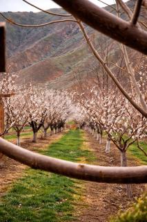 Caravanà Resort - 6