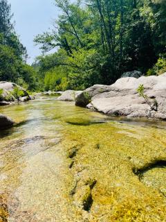 Roulotte insolite U tragulinu - 2