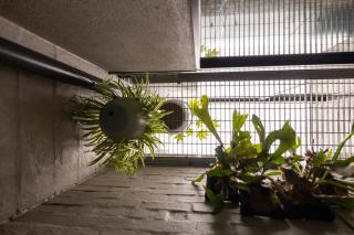 The Carlton Loft Small Scale Retreat - 5