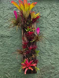 Casa Colonial Caborê - 1