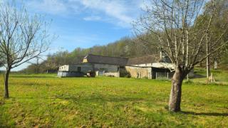 Ecrin de verdure - 4