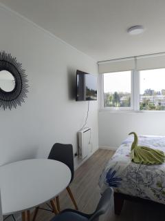 Apartamento tipo estudio Isla Teja - 1