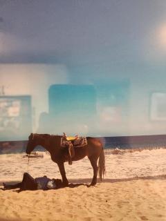 La Costa Condominious - 0