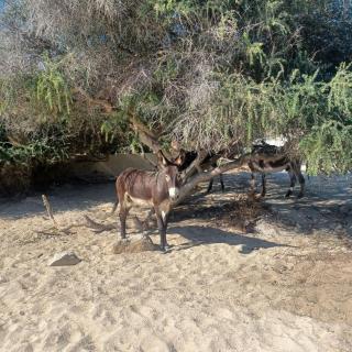 La Costa Condominious - 7