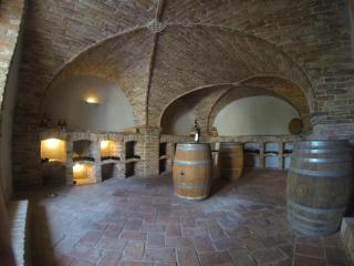 Sporthotel Podersdorf - 1