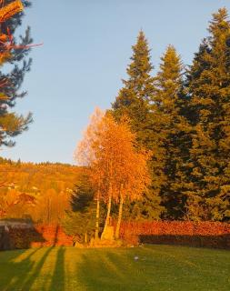 Apartament Buldog - 2