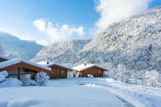 Chalets Lampllehen zwischen Berchtesgaden & Salzburg - 8