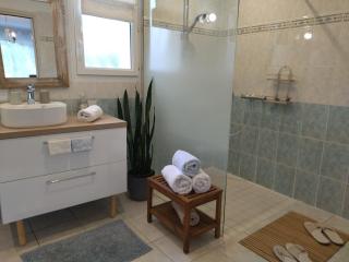 Fleurs de Cosmos Chambre d' hôtes Albi - 3