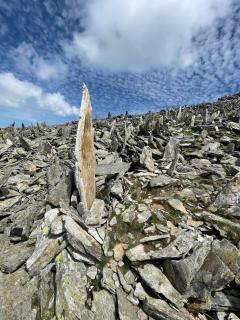 Ferienwohnung Vorstadt - 1