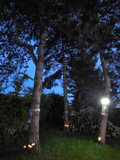 Arc en Ciel du Mont B&B - 1