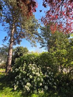 Arc en Ciel du Mont B&B - 4