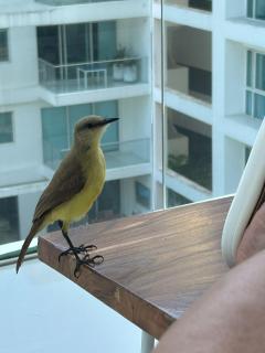 Apartamento Morros Ultra 511 - 5