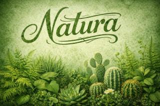 Ostello di Lussello - 8