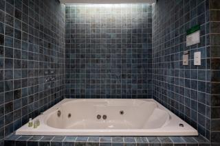 Spa Motel - Radial Leste - 6