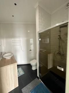 Коттедж Золотой Бугаз Грибовка - 1