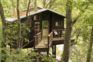 Treetop Hideaways: The Elements Treehouse - 2