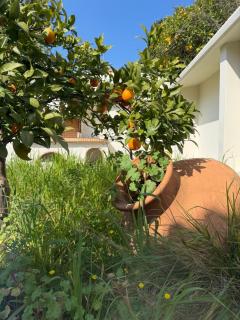 Apollon Heritage House - 4