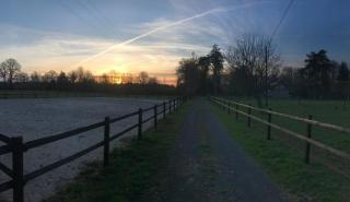 Chambre privée en bordure de la forêt d'Ecouves - 7