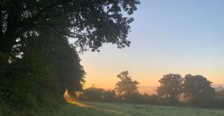 Chambre privée en bordure de la forêt d'Ecouves - 5