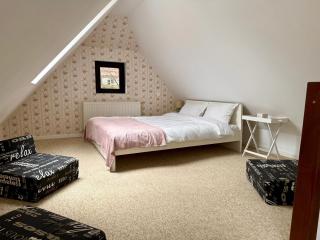 The Bucket - Rose Old Town with Fireplace & View - 9