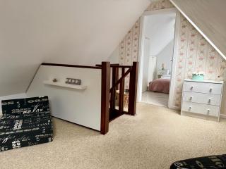 The Bucket - Rose Old Town with Fireplace & View - 8