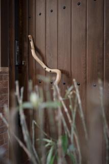 Wooden Oasis in Volos Center - 3