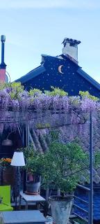 Private Eco Retreat for two Spa - Hot Tub - Design and Lake View - 4