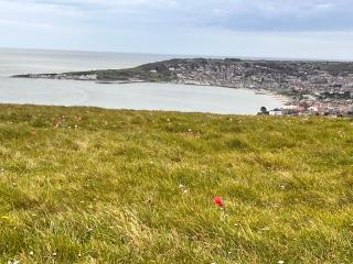 Swanage Luxury Caravan - Stunning sea views, Large decking area, Free EE WIFI, Sleeps 6, Pet Friendly on Swanage Bay View Holiday Park - 1