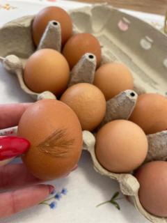 Die CLASSIQUE Suite 65qm - Viel Platz für Ihre Auszeit - Großer Eckbalkon, Badewanne, Poseidon Therme, Vierbeiner willkommen - inkl Parkgarage - 7