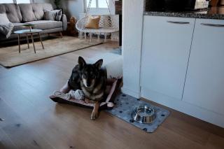 Charming Lake View House in Kilchberg Zürich - 4