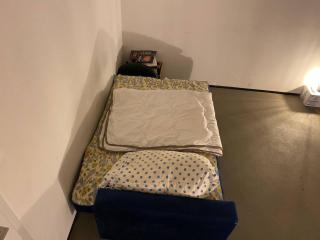 discover Swiss with its cultural - 8